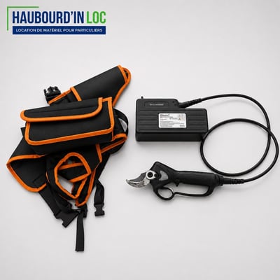 Secateur electrique professionnel haubourd in loc