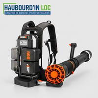 Souffleur a feuilles dorsal worx haubourd in loc 1